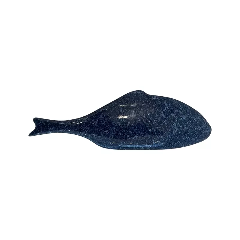 Poisson- Bleu Sahara