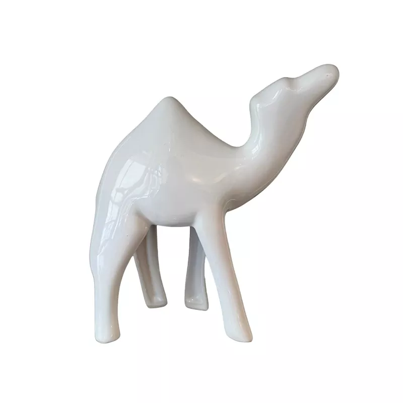 White Dromedary