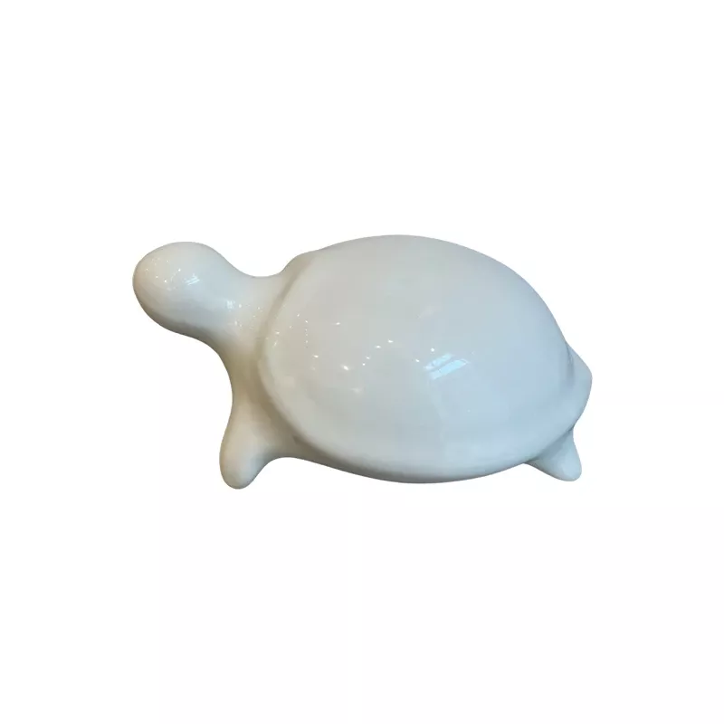 Tortue MM Blanche