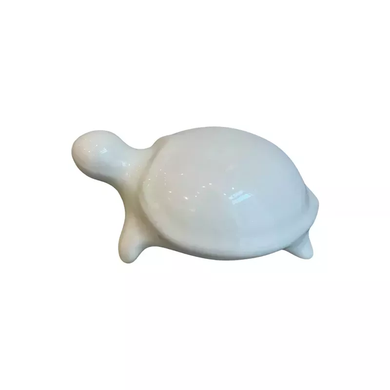 Tortue MM Blanche