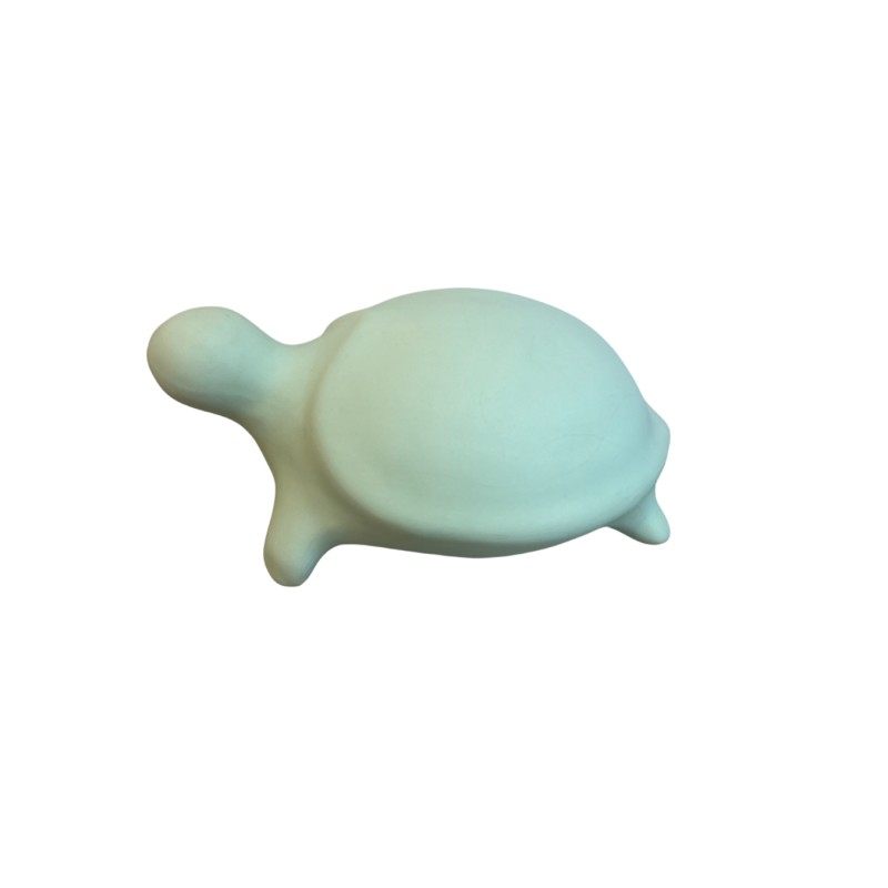 Tortue MM Turquoise