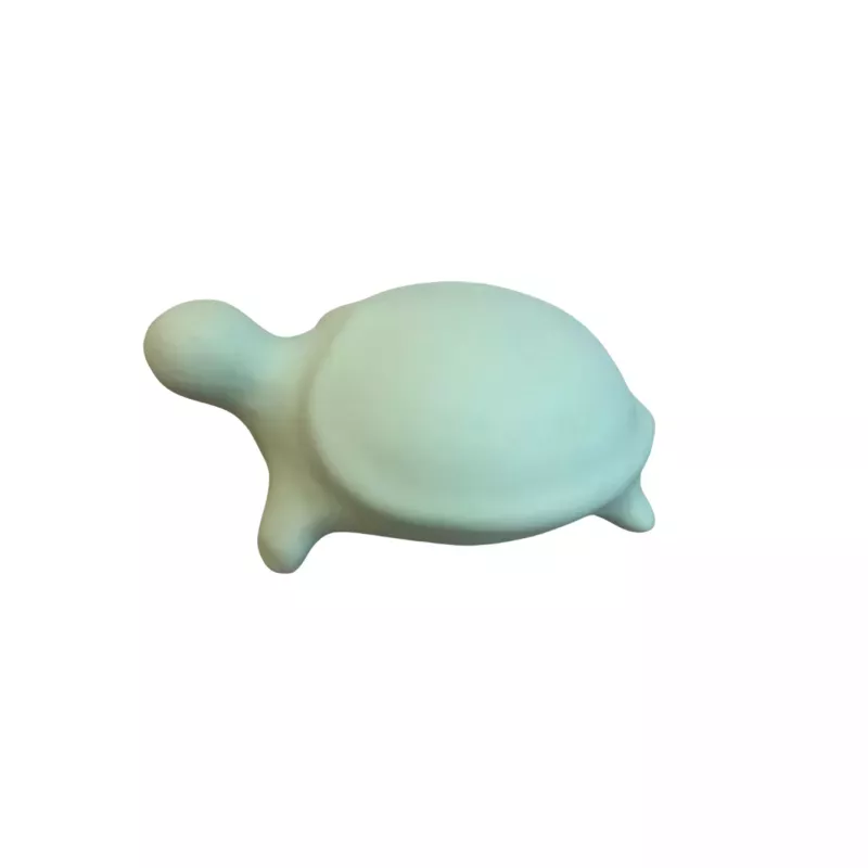 Tortue MM Turquoise