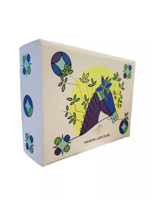 Box Cadeau Cheval Bleue