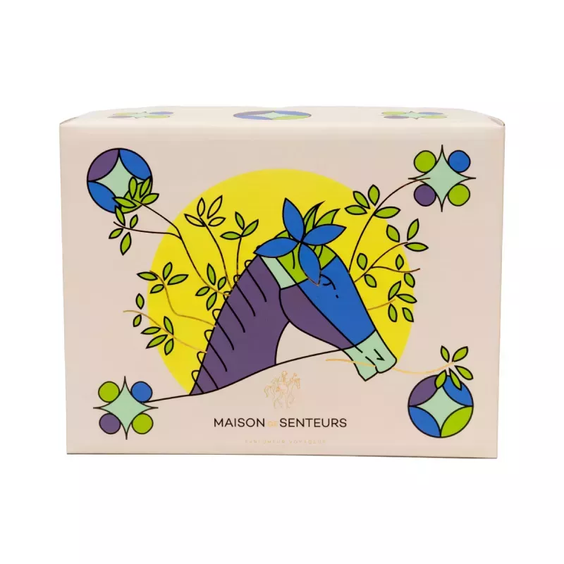 BOX CADEAU Cheval bleu