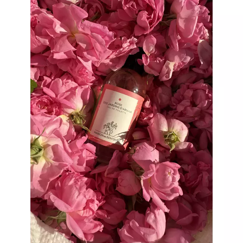Rose des Jardins d’Ariana