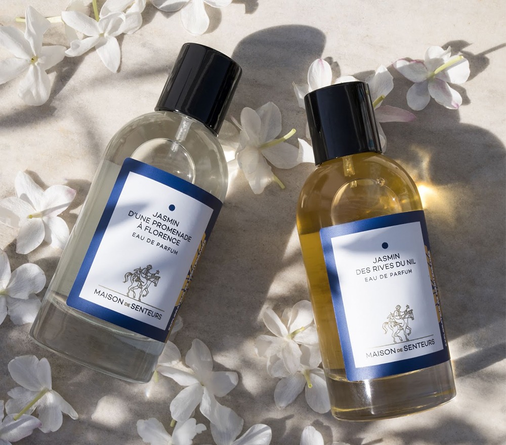 Le Jasmin : Fleur emblématique de la Tunisie et icône de la parfumerie