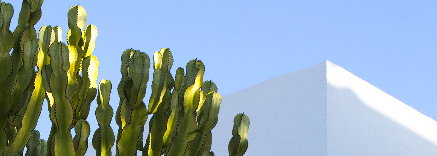 Discover the Magic of Zelfan's Gold, the Fountain of Youth for Mediterranean Inhabitants...